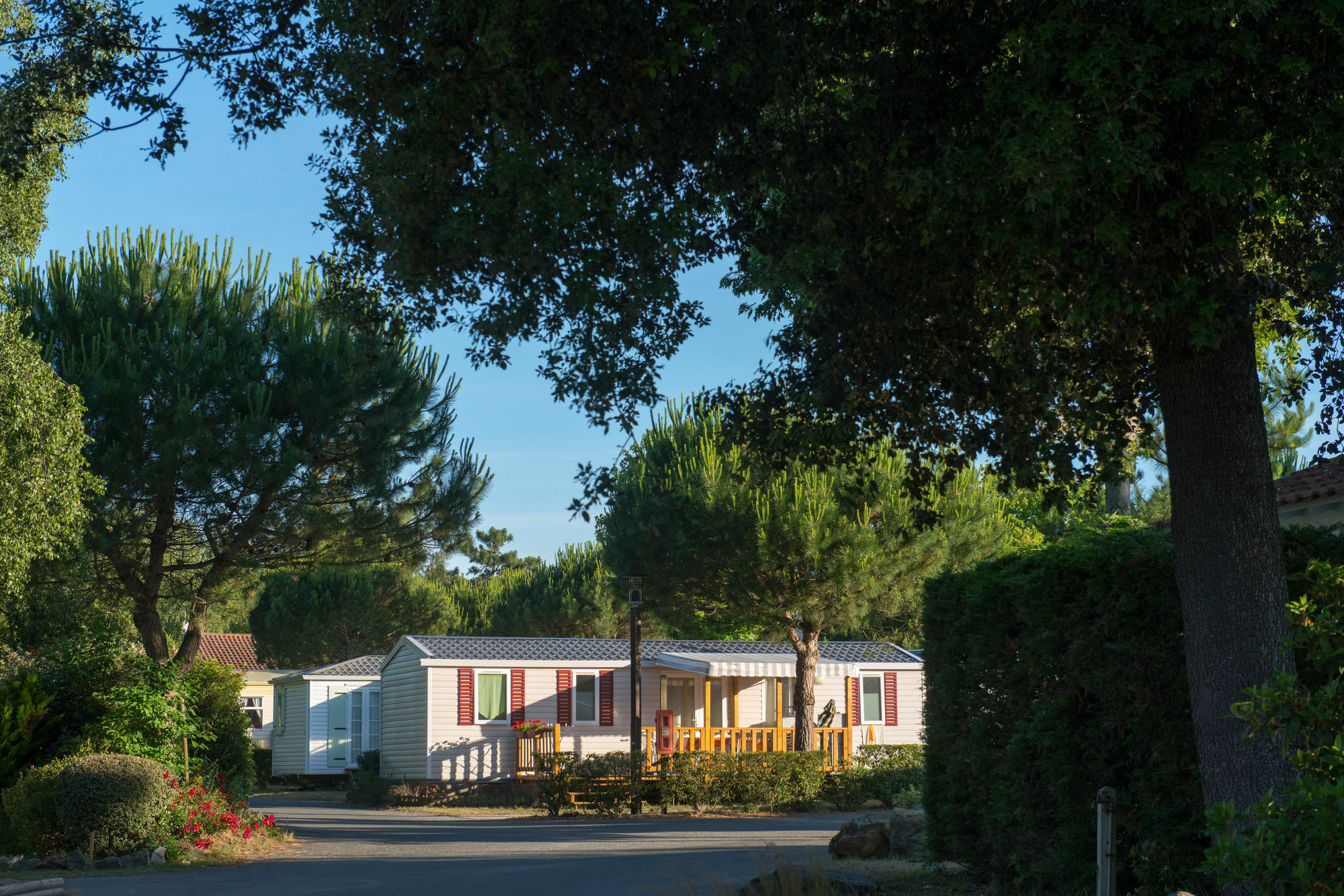 Hotel Camping Officiel Siblu Le Bois Dormant à Saint-Jean-de-Monts Extérieur photo